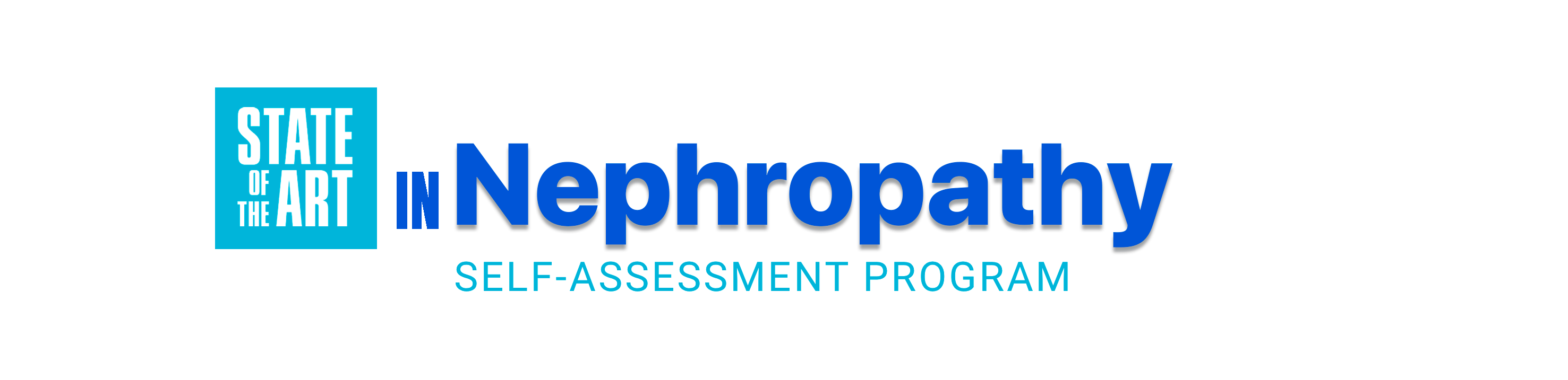 State of the Art IgA Nephropathy